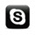 Skype Icon